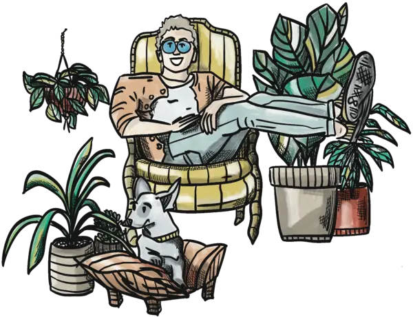 zimmerpflanzen geniesser